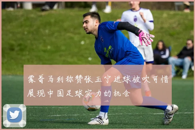 蒙哥马利称赞张玉宁进球被吹可惜展现中国足球实力的机会