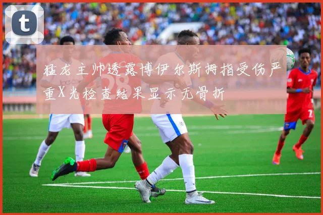 猛龙主帅透露博伊尔斯拇指受伤严重X光检查结果显示无骨折