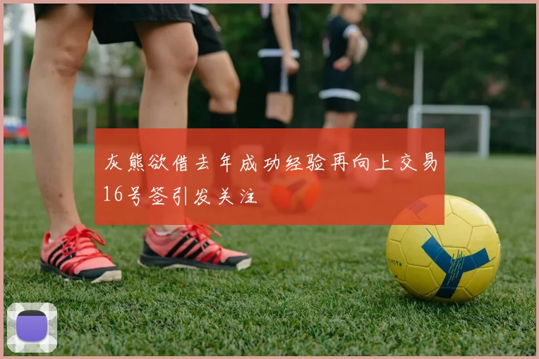 灰熊欲借去年成功经验再向上交易16号签引发关注